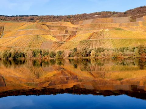 Vodatent Paradies Camp - Rhineland-Palatinate - Image N°14