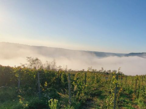 Vodatent Paradies Camp - Rhineland-Palatinate - Image N°13