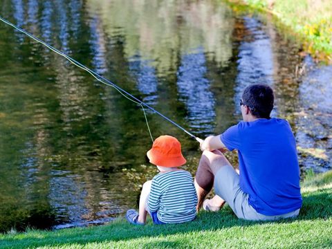 Camping Zavelbos - Belgian Limburg - Image N°4