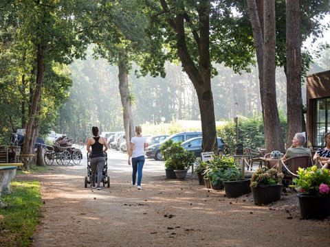 Camping Zavelbos - Belgian Limburg - Image N°3