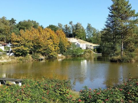 Wilsumer Berge - Lower Saxony - Image N°28
