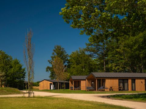 Wilsumer Berge - Lower Saxony - Image N°15