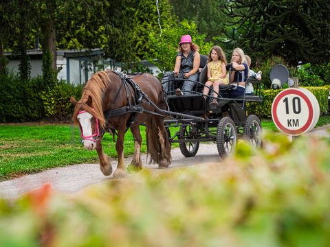 Arden Parks Tulderheyde - Antwerp - Image N°22