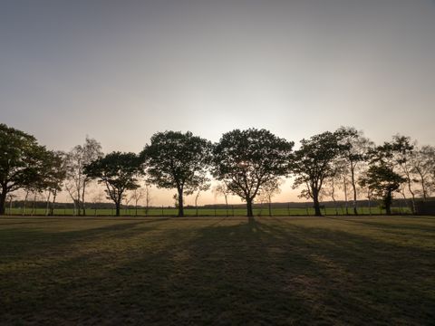 Arden Parks Tulderheyde - Antwerp - Image N°12