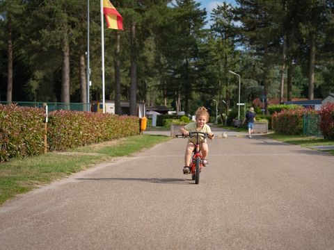 Arden Parks Tulderheyde - Antwerp - Image N°4