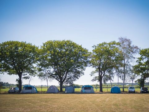 Arden Parks Tulderheyde - Antwerp - Image N°5