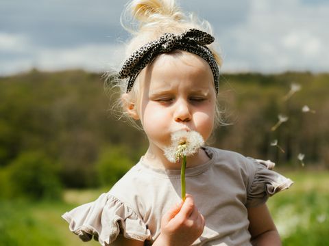 Camping Liefrange - Luxembourg