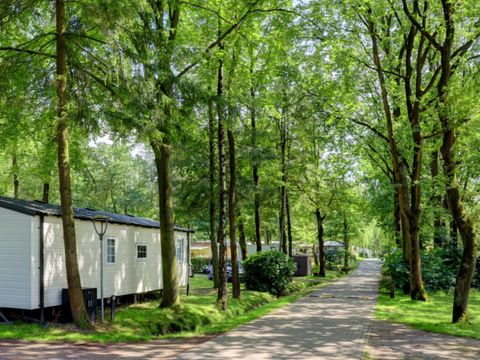 Vodatent Camping het Veen - Camping West Flanders