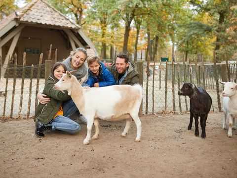 Center Parcs Nordborg Resort - Camping Southern Denmark - Image N°3