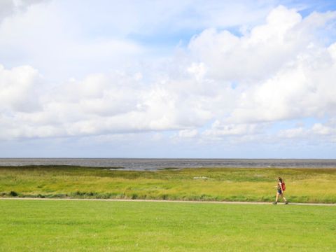 Vodatent Ballum Camping - Southern Denmark - Image N°19