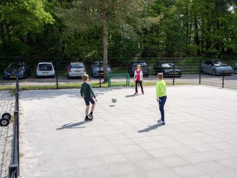 Vodatent Landgoed 't Wildryck - Westerveld