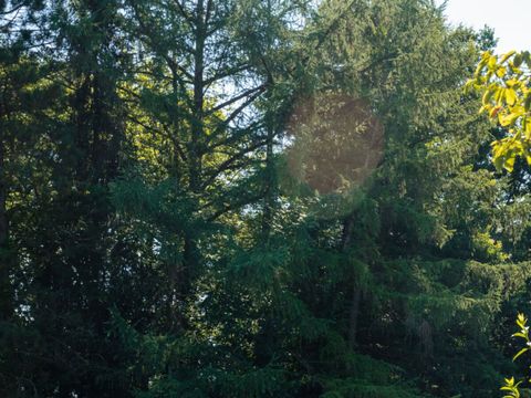 Vodatent Camping De Chênefleur - Belgian Luxembourg - Image N°16