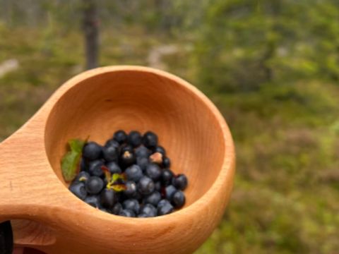 Vodatent Yttermalungs Camping - Dalarna - Image N°16