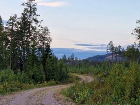 Vodatent Yttermalungs Camping - Dalarna - Image N°9