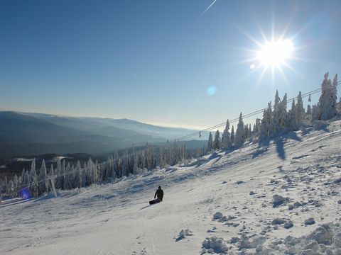 Landal Arber - Bavaria - Image N°3