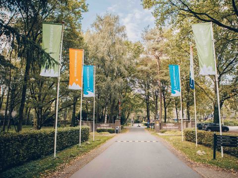 Landgoed Het Grote Zand - Midden-Drenthe - Image N°4