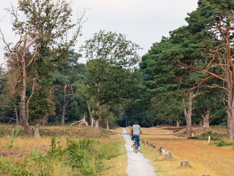 Landgoed Het Grote Zand - Midden-Drenthe