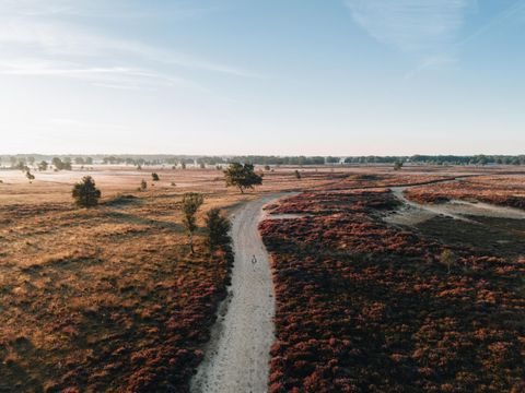 Landgoed Het Grote Zand - Midden-Drenthe - Image N°24