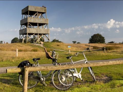 Buitenplaats de Hildenberg - Ooststellingwerf - Image N°2