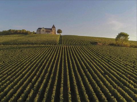 Arden Parks Signy-L'Abbaye - Ardennes - Image N°5