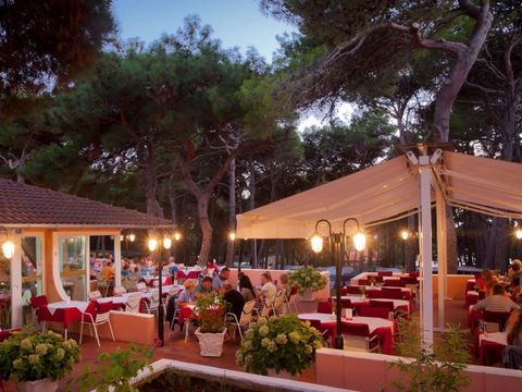 Camping Cikat - Istria