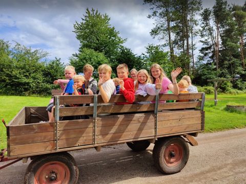 Vodatent Camping Vestbirk - Jutland-Central - Image N°7