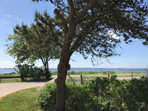 Vodatent Rosenvold Strand Camping - Jutland-Central - Image N°3