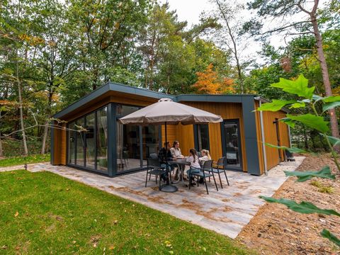 Vakantiepark De Wiltzangh - Camping De Wolden - Image N°0
