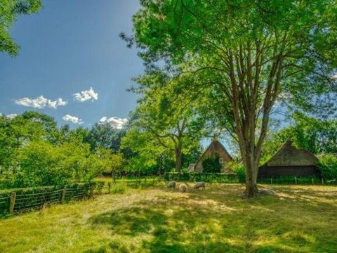Vakantiepark De Kremmer - Aa en Hunze - Image N°22