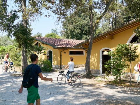 Europe Tents Campeggio Paradiso - Camping Lucca - Image N°2