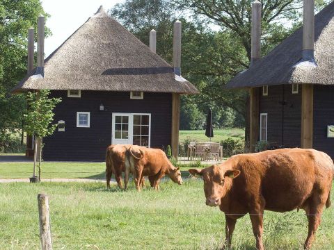 Erve Woolderink - Wierden - Image N°0