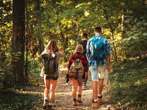 Dormio Hotel Der Seehof - North Rhine-Westphalia - Image N°4