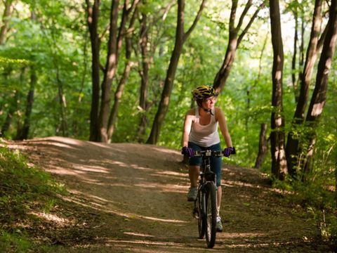 Dormio Hotel Der Seehof - North Rhine-Westphalia - Image N°5