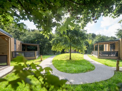 Urban Gardens Ieper - West Flanders - Image N°18