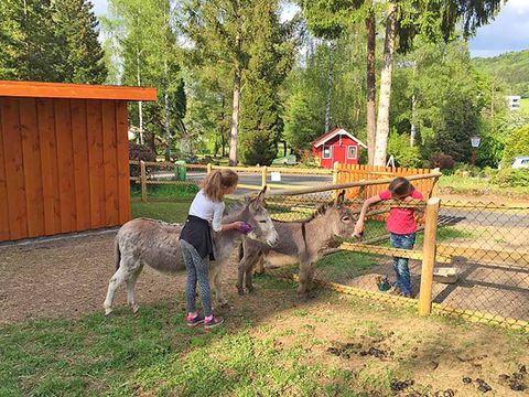 Bungalowpark Felsenhof - Rhineland-Palatinate