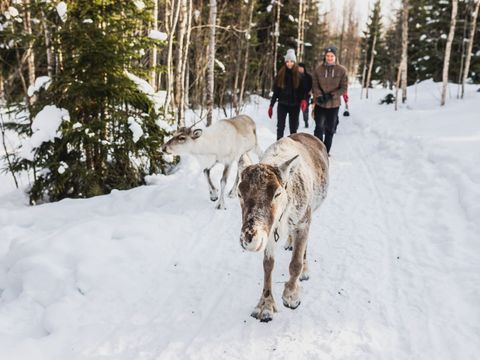Valkeisen Loma - Central Finland - Image N°9