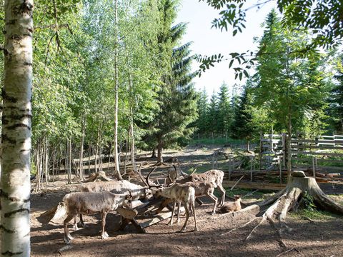 Valkeisen Loma - Central Finland - Image N°23