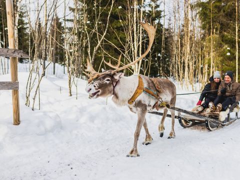 Valkeisen Loma - Central Finland - Image N°8