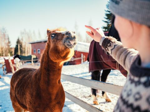 Valkeisen Loma - Central Finland - Image N°4