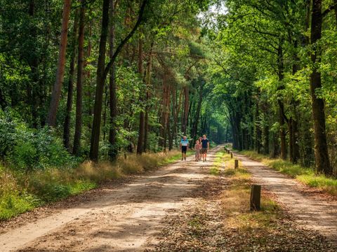  Charmecamping & Appartementen De Regge-Vallei  - Twenterand - Image N°30