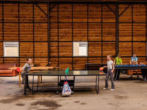  Charmecamping & Appartementen De Regge-Vallei  - Twenterand - Image N°7