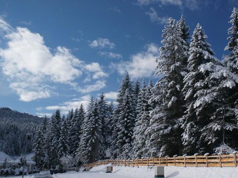 Camping Leutasch - Tyrol - Image N°20
