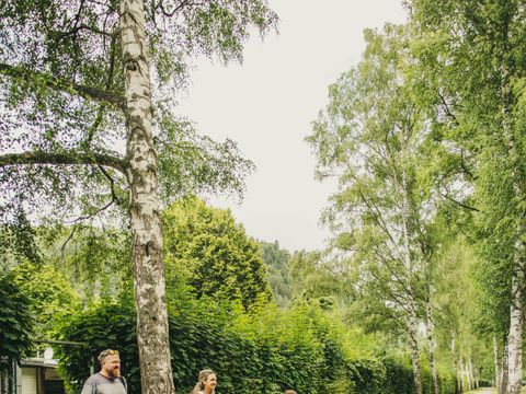 Campingpark Bad Liebenzell - Baden-Württemberg - Image N°17