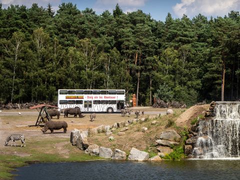 Serengeti Park - Lower Saxony - Image N°3