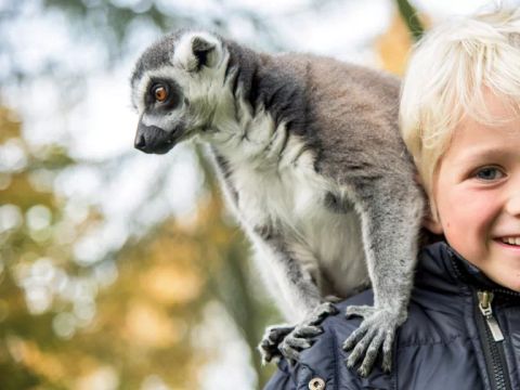 Serengeti Park - Lower Saxony - Image N°4