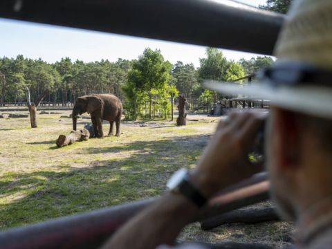 Serengeti Park - Lower Saxony - Image N°5