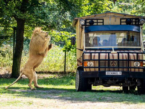 Serengeti Park - Lower Saxony