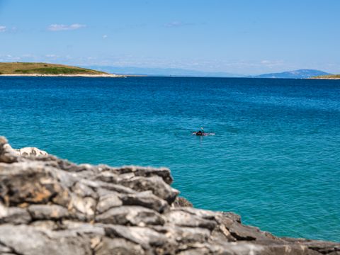 %strongStart%Aquatic%strongEnd% area