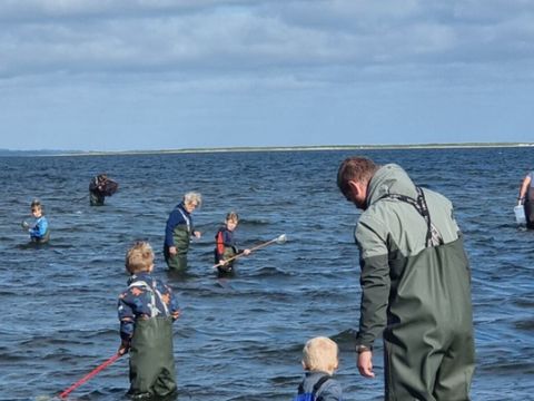 Vodatent Hvalpsund Familie Camping - Sjaelland - Image N°7
