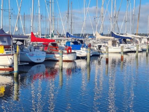 Vodatent Hvalpsund Familie Camping - Sjaelland - Image N°9